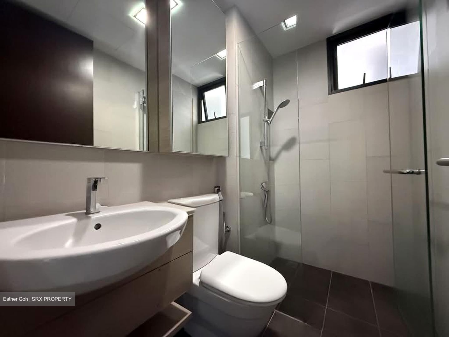 Terrene At Bukit Timah (D21), Condominium #576331231